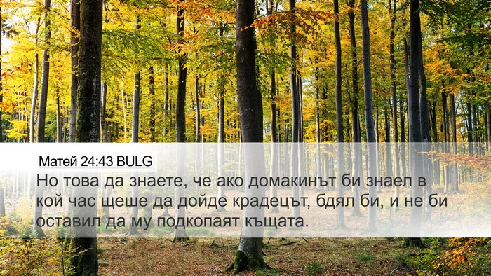 Матей 24:43 BULG Bible Verse Image