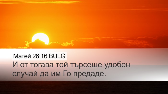 Матей 26:16 BULG Desktop Wallpaper - И от тогава той търсеше - Desktop Bible Verse Wallpaper