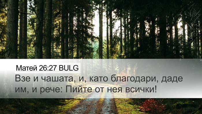 Матей 26:27 BULG Desktop Wallpaper - Взе и чашата, и, като - Desktop Bible Verse Wallpaper