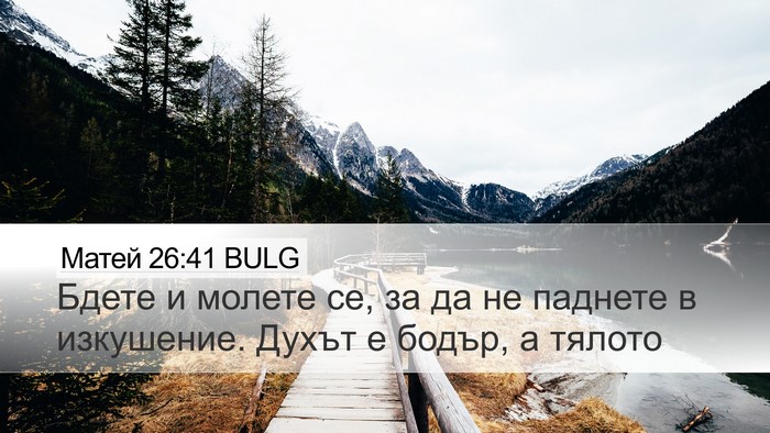 Матей 26:41 BULG Bible Verse Image