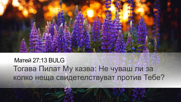 Матей 27:13 BULG Desktop Wallpaper - Тогава Пилат Му казва: Не - Desktop Bible Verse Wallpaper