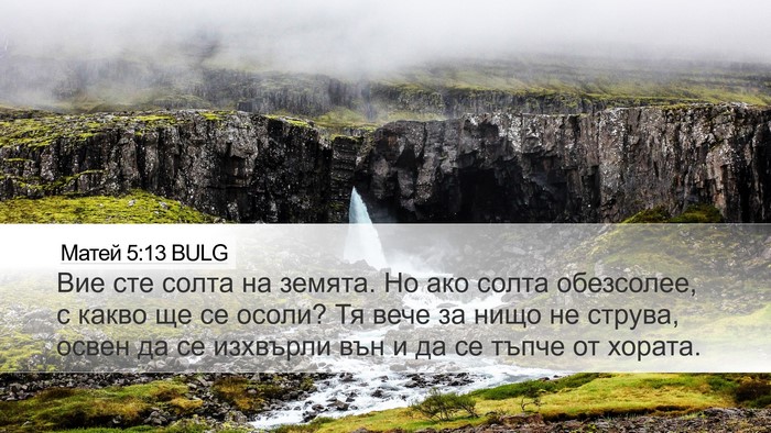 Матей 5:13 BULG Bible Verse Image