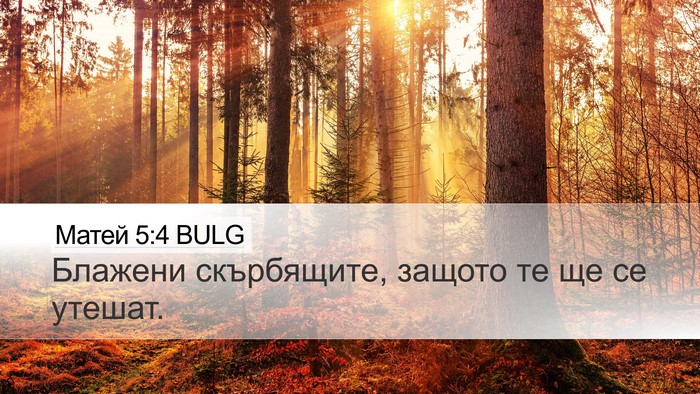 Матей 5:4 BULG Desktop Wallpaper - Блажени скърбящите, защото - Desktop Bible Verse Wallpaper