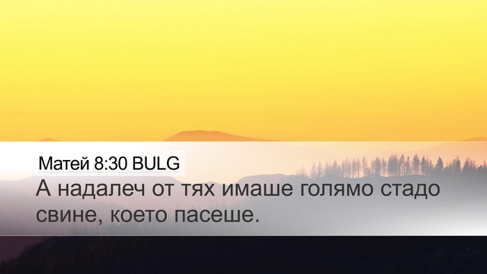 Матей 8:30 BULG Bible Verse Image