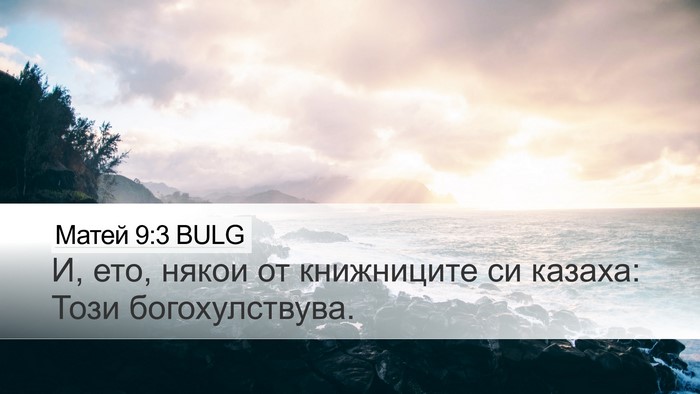 Матей 9:3 BULG Desktop Wallpaper - И, ето, някои от книжниците - Desktop Bible Verse Wallpaper