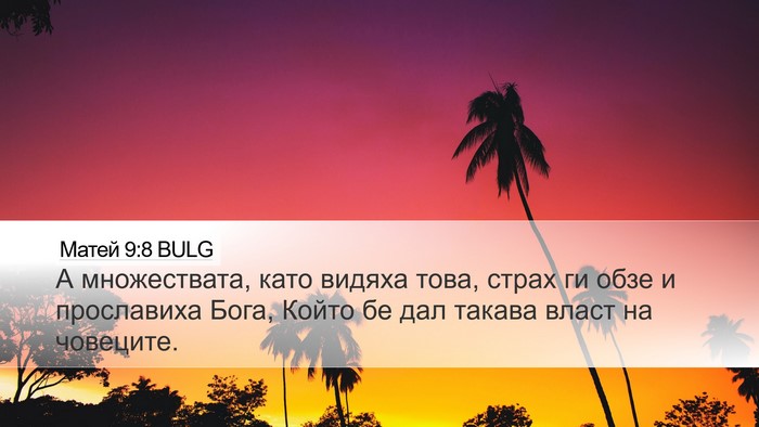 Матей 9:8 BULG Bible Verse Image