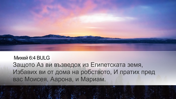 Михей 6:4 BULG Bible Verse Image