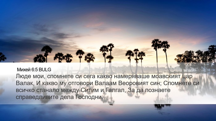 Михей 6:5 BULG Bible Verse Image