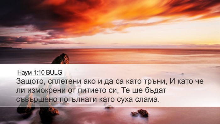 Наум 1:10 BULG Bible Verse Image