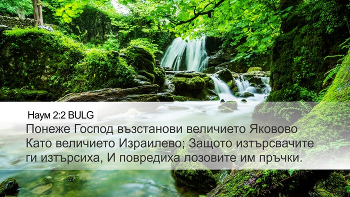 Наум 2:2 BULG Bible Verse Image