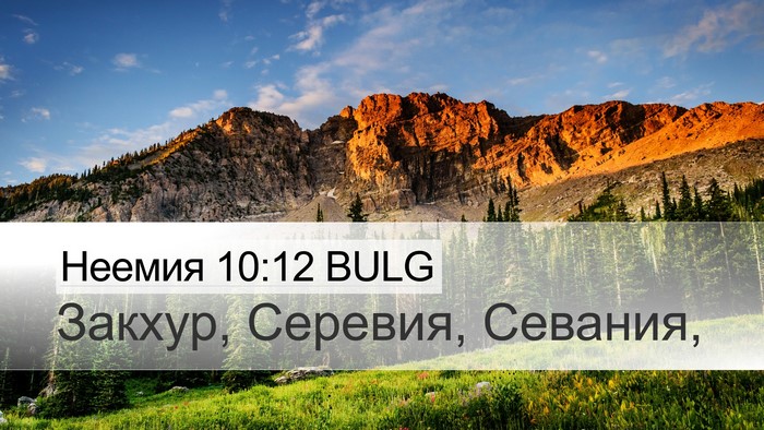 Неемия 10:12 BULG Bible Verse Image