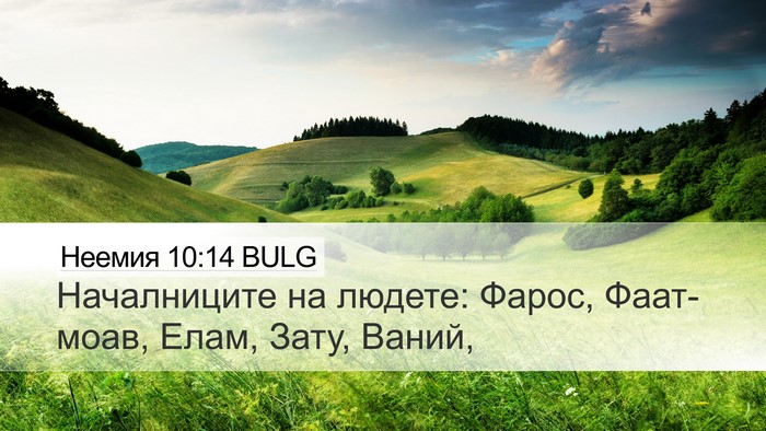 Неемия 10:14 BULG Bible Verse Image