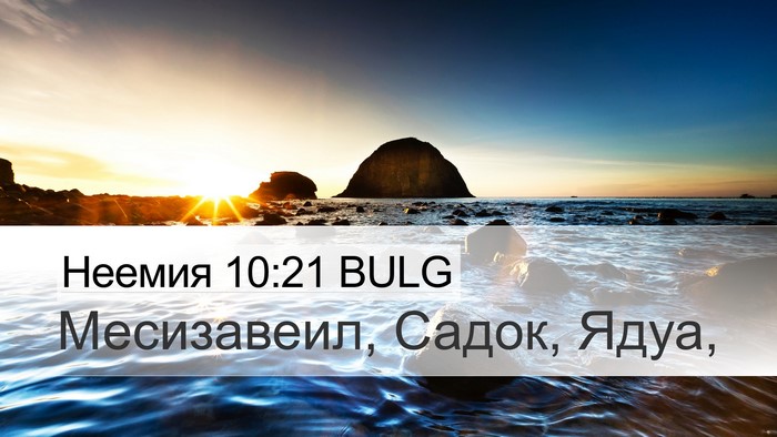 Неемия 10:21 BULG Desktop Wallpaper - Месизавеил, Садок, - Desktop Bible Verse Wallpaper