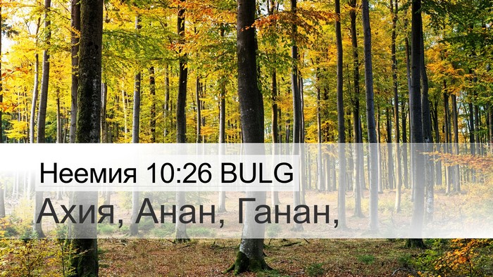 Неемия 10:26 BULG Desktop Wallpaper - Ахия, Анан, - Desktop Bible Verse Wallpaper
