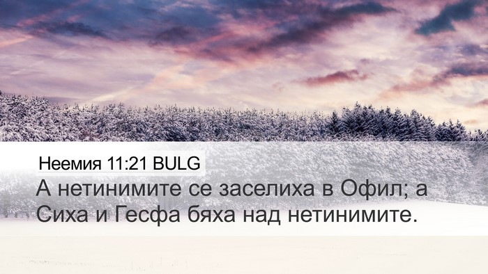 Неемия 11:21 BULG Bible Verse Image