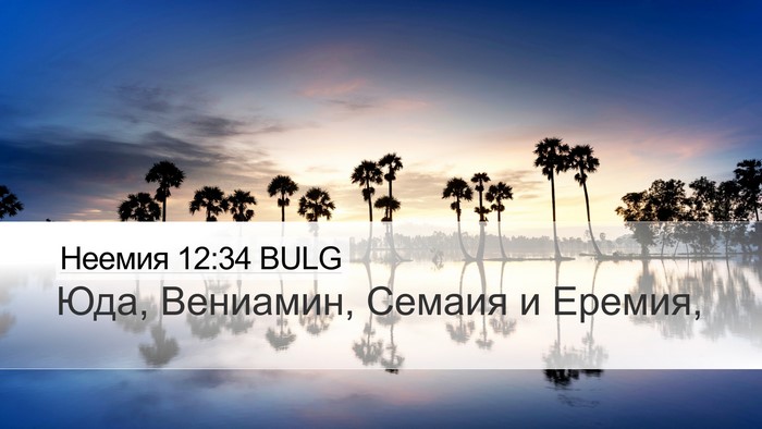 Неемия 12:34 BULG Desktop Wallpaper - Юда, Вениамин, Семаия и - Desktop Bible Verse Wallpaper
