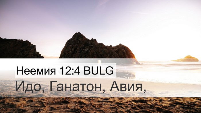 Неемия 12:4 BULG Bible Verse Image
