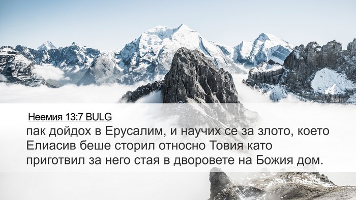 Неемия 13:7 BULG Desktop Wallpaper - пак дойдох в Ерусалим, и - Desktop Bible Verse Wallpaper