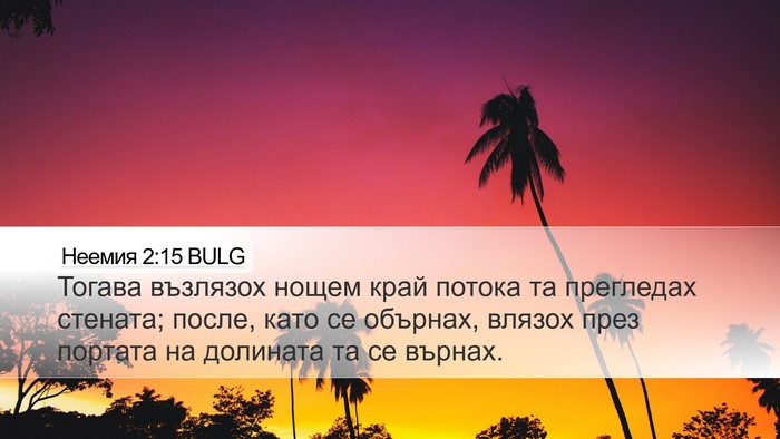 Неемия 2:15 BULG Bible Verse Image