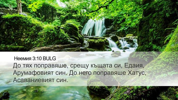 Неемия 3:10 BULG Bible Verse Image