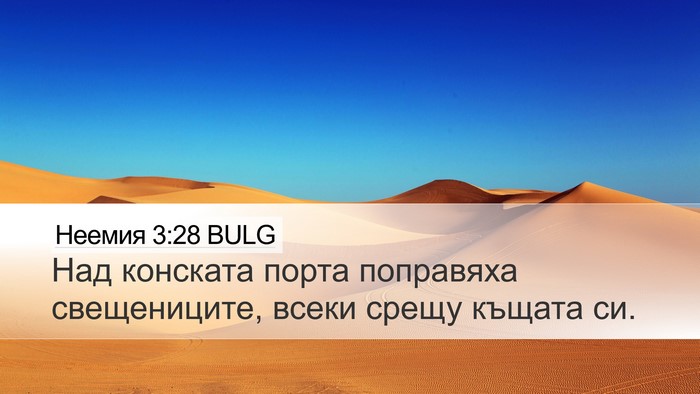 Неемия 3:28 BULG Bible Verse Image