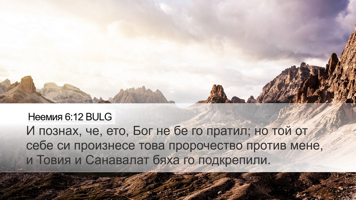 Неемия 6:12 BULG Bible Verse Image