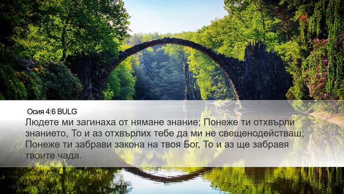 Осия 4:6 BULG Bible Verse Image
