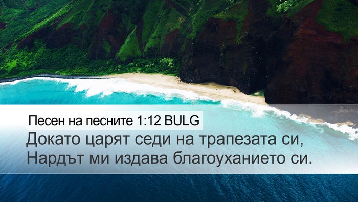Песен на песните 1:12 BULG Bible Verse Image
