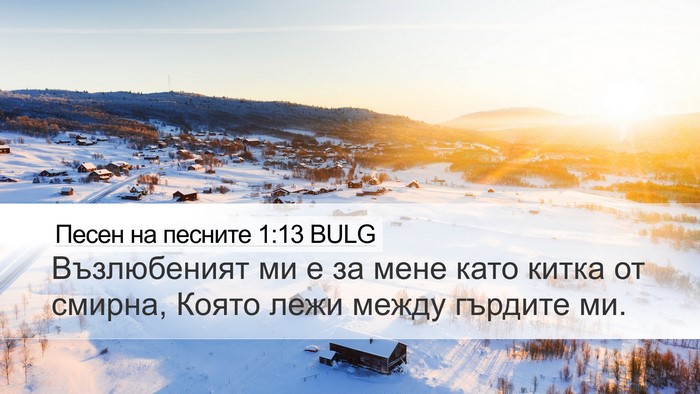 Песен на песните 1:13 BULG Bible Verse Image