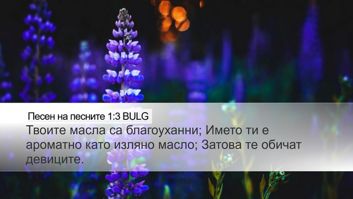 Песен на песните 1:3 BULG Bible Verse Image