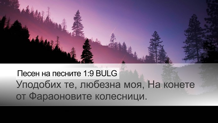 Песен на песните 1:9 BULG Desktop Wallpaper - Уподобих те, любезна моя, - Desktop Bible Verse Wallpaper