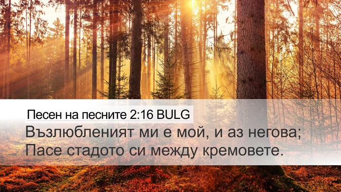 Песен на песните 2:16 BULG Bible Verse Image