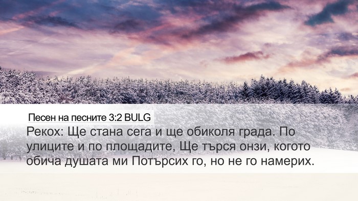 Песен на песните 3:2 BULG Desktop Wallpaper - Рекох: Ще стана сега и ще - Desktop Bible Verse Wallpaper