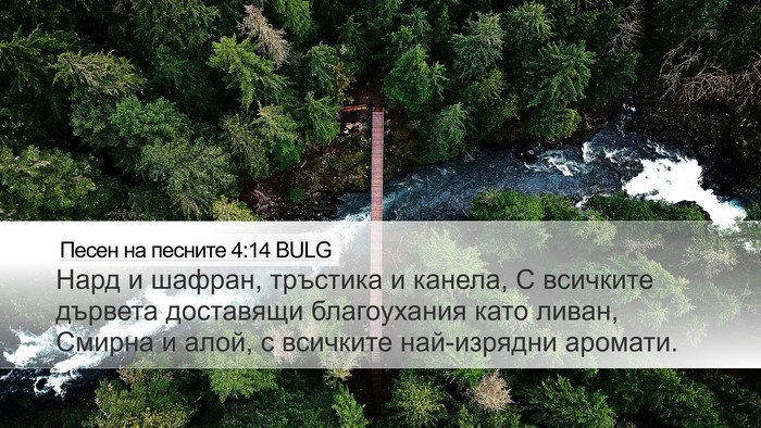 Песен на песните 4:14 BULG Bible Verse Image