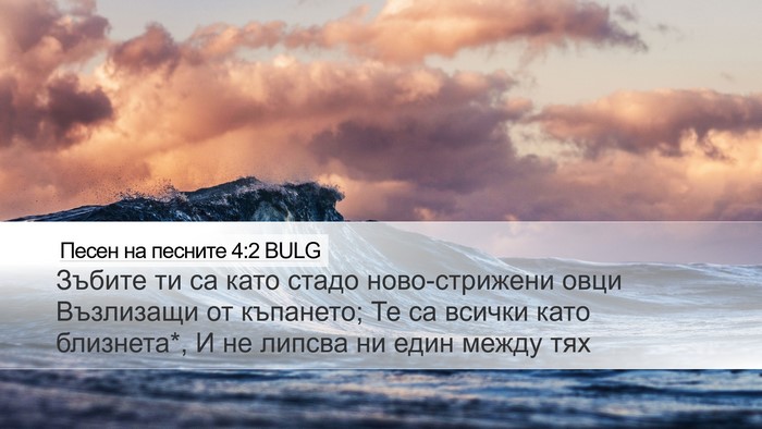 Песен на песните 4:2 BULG Desktop Wallpaper - Зъбите ти са като стадо - Desktop Bible Verse Wallpaper