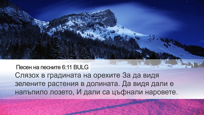 Песен на песните 6:11 BULG Bible Verse Image
