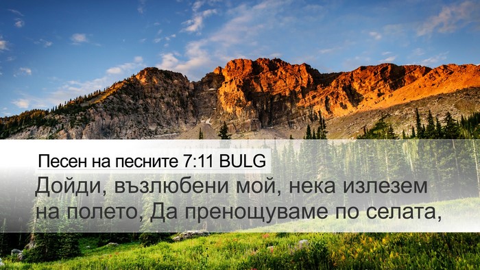 Песен на песните 7:11 BULG Bible Verse Image