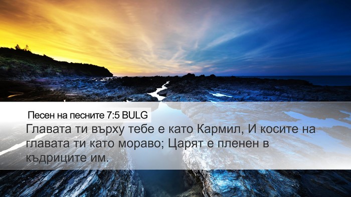 Песен на песните 7:5 BULG Bible Verse Image