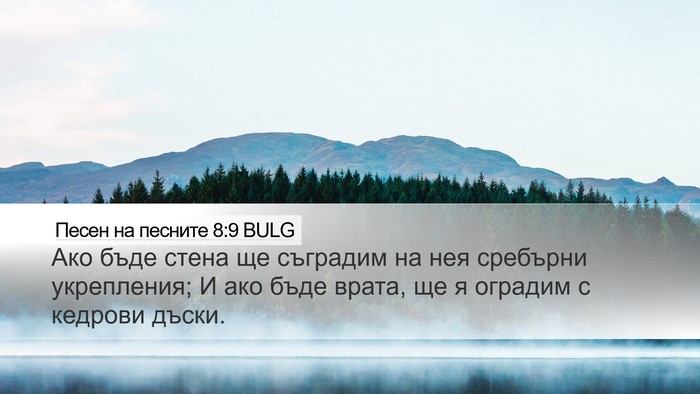 Песен на песните 8:9 BULG Desktop Wallpaper - Ако бъде стена ще съградим - Desktop Bible Verse Wallpaper