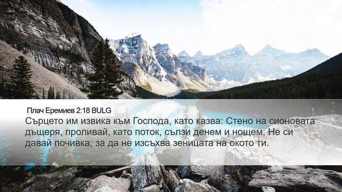 Плач Еремиев 2:18 BULG Bible Verse Image