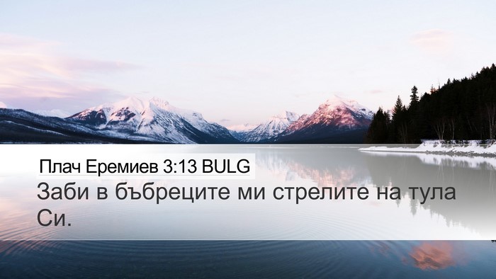 Плач Еремиев 3:13 BULG Bible Verse Image