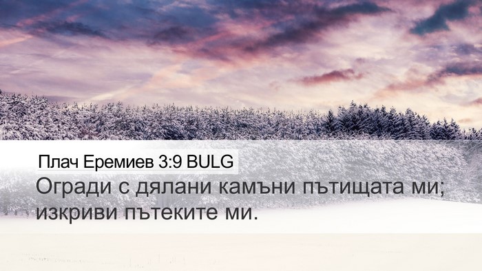 Плач Еремиев 3:9 BULG Bible Verse Image