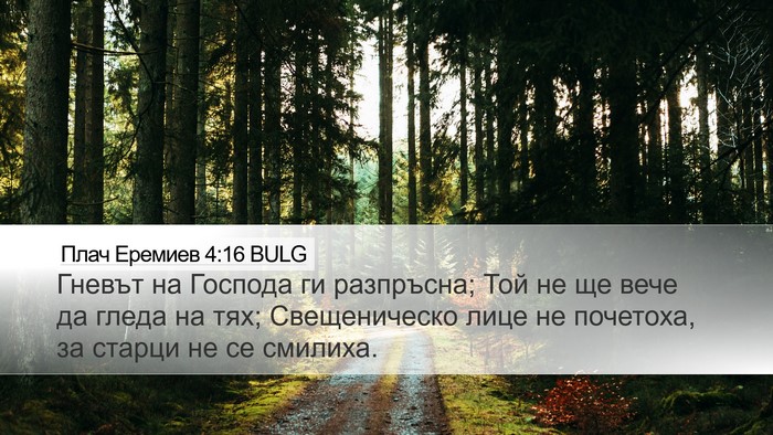 Плач Еремиев 4:16 BULG Bible Verse Image