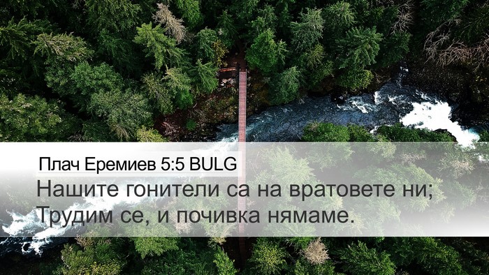 Плач Еремиев 5:5 BULG Bible Verse Image