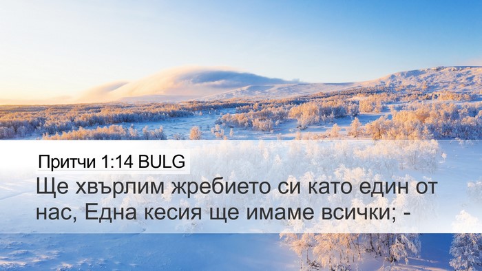 Притчи 1:14 BULG Desktop Wallpaper - Ще хвърлим жребието си - Desktop Bible Verse Wallpaper