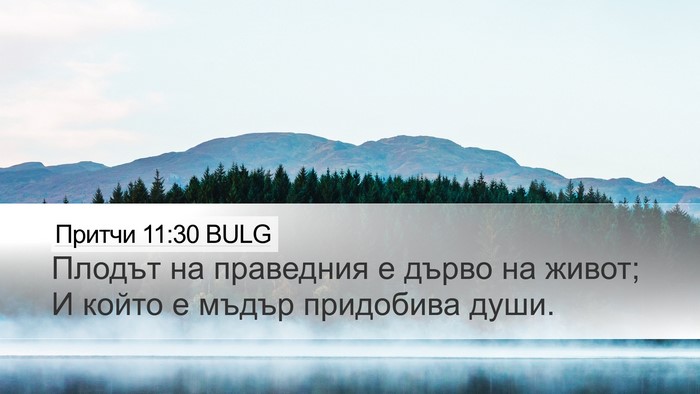 Притчи 11:30 BULG Bible Verse Image