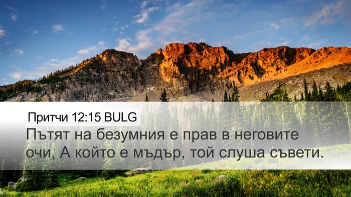 Притчи 12:15 BULG Bible Verse Image