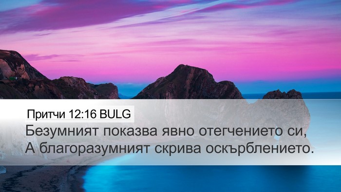 Притчи 12:16 BULG Bible Verse Image