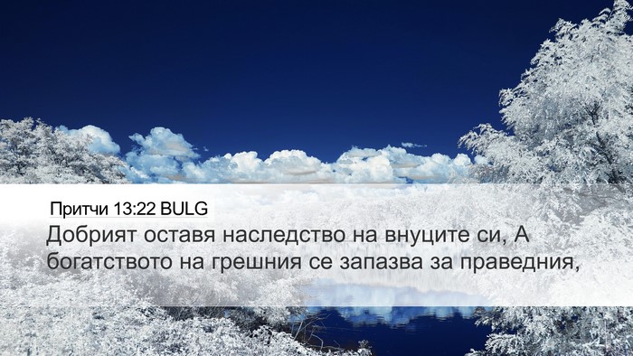 Притчи 13:22 BULG Bible Verse Image