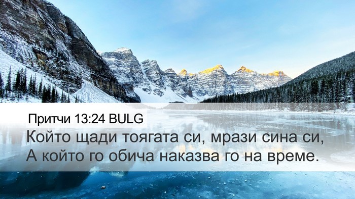 Притчи 13:24 BULG Bible Verse Image